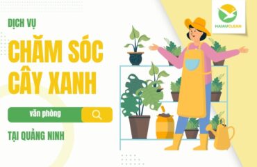 Cham-soc-cay-xanh-van-phong