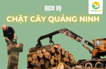 Chat-cay