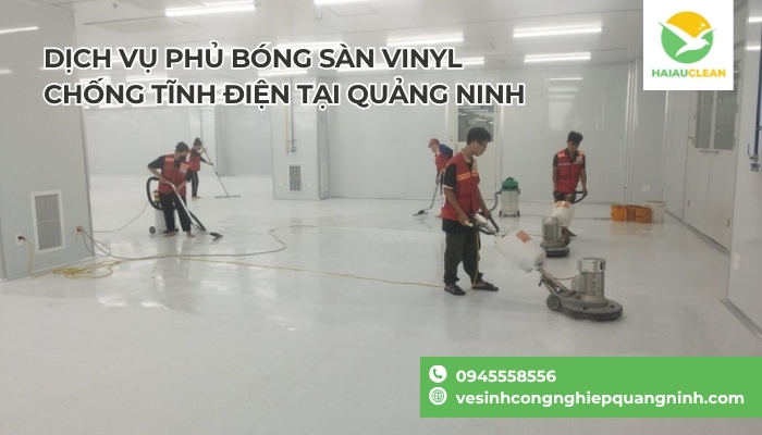 San-nhua-vinyl