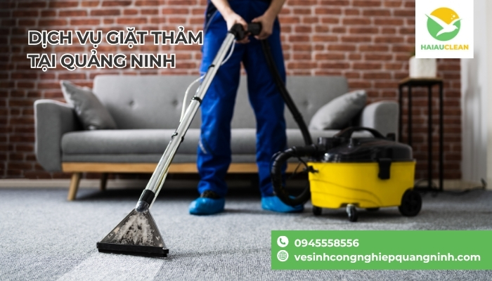 Ve-sinh-tham-trai-san