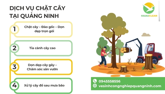 chat-cay-1