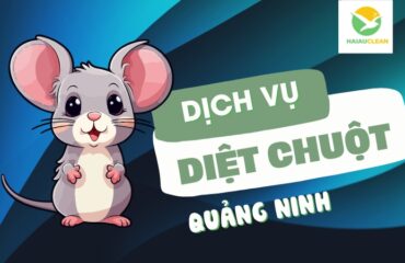 diet-chuot