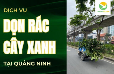 don-rac-cay-xanh