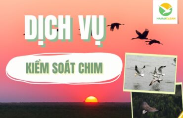kiem-soat-chim