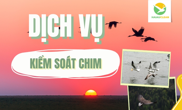 kiem-soat-chim