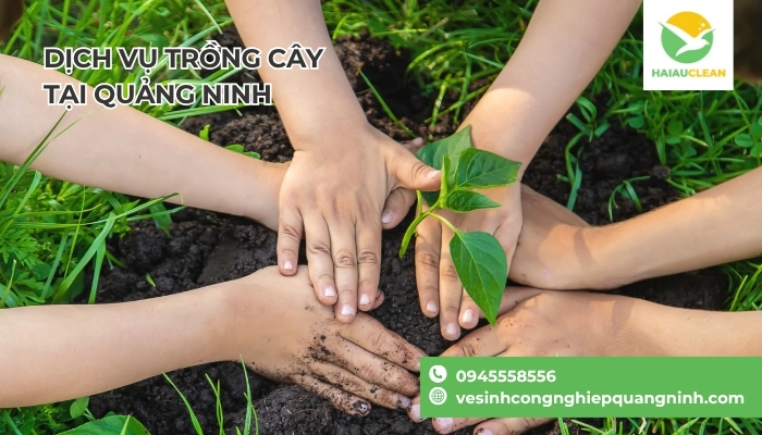 Dich-vu-trong-hoa-tai-nha