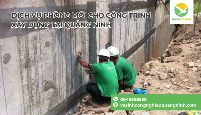 Thuoc-chong-moi-cho-cong-trinh-xay-dung