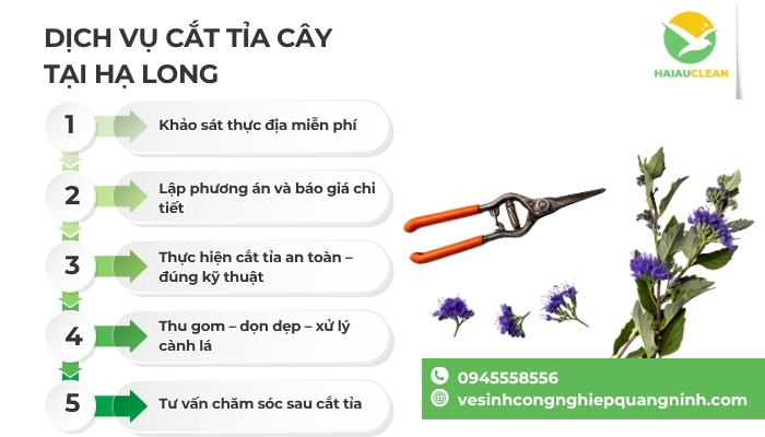 cat-tia-cay-1