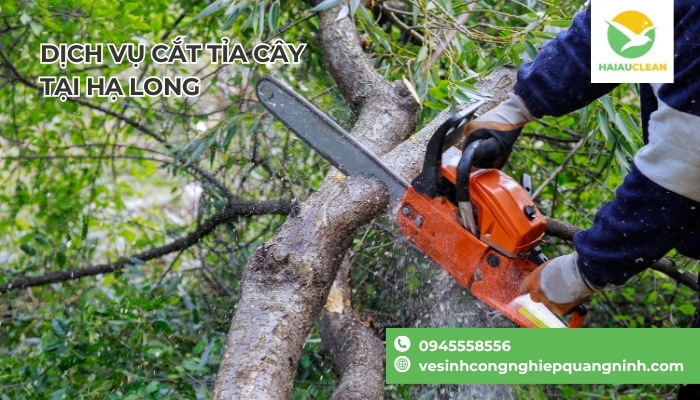 cat-tia-cay-xanh-Ha-Long