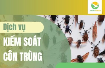 kiem-soat-con-trung