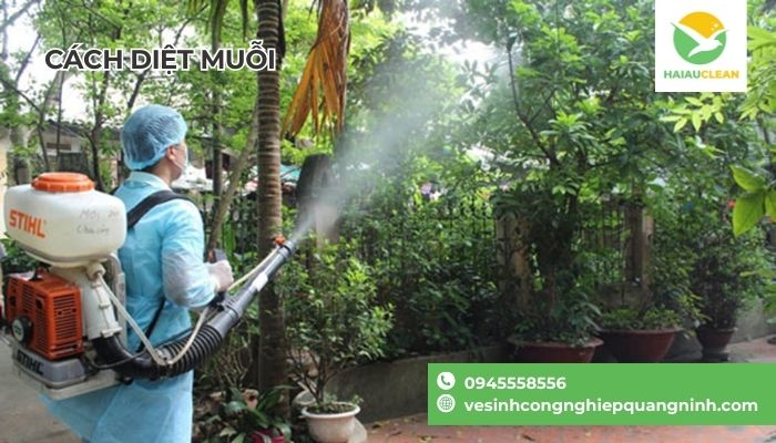 Meo-duoi-muoi-trong-phong